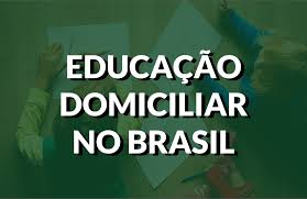 O ENSINO PARA CRIANÇAS EM CASA (HOMESCHOOLING) - Artigo publicado na 