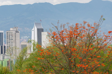 INFORME SOBRE COMO MEDELLÍN SE CONSTITUIU COMO UMA DAS CIDADES MAIS DINÂMICAS DO MUNDO, APÓS A ONDA DE VIOLÊNCIA DO SÉCULO XX